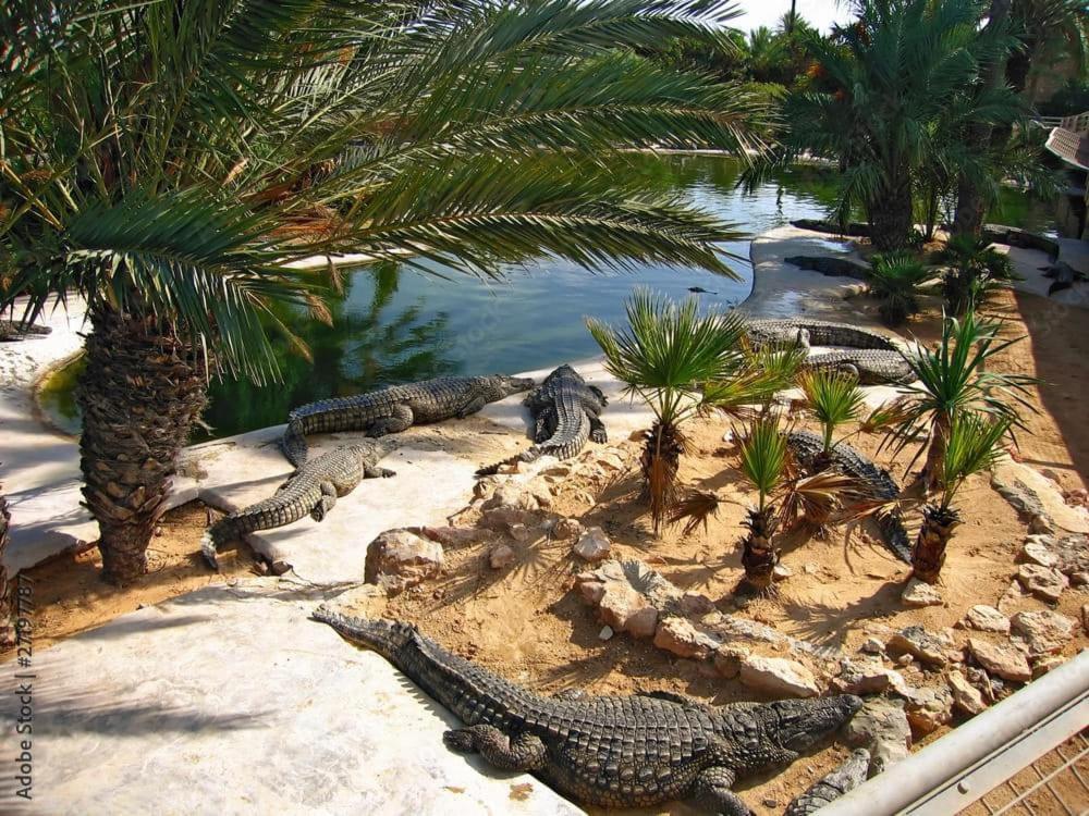 Dream Garden Djerba * Mezraia